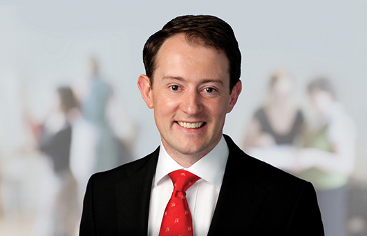 The Minister of State for Development, Trade Promotion and North-South Co-operation, Seán Sherlock, TD