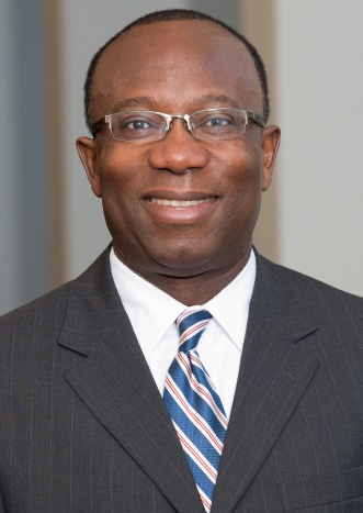 Dr. Linus Igwemezie, Head of the Novartis Malaria Initiative