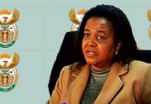 Top performing South Africans to receive National Orders