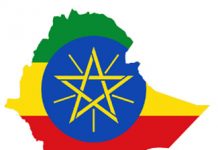 The 2nd Ethio-Brazil Trade and Investment Forum