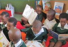 SA: DBE makes headway with learner access to libraries