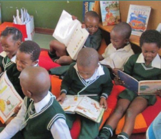 SA: DBE makes headway with learner access to libraries